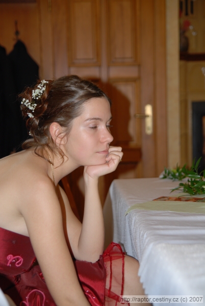 img00061.jpg